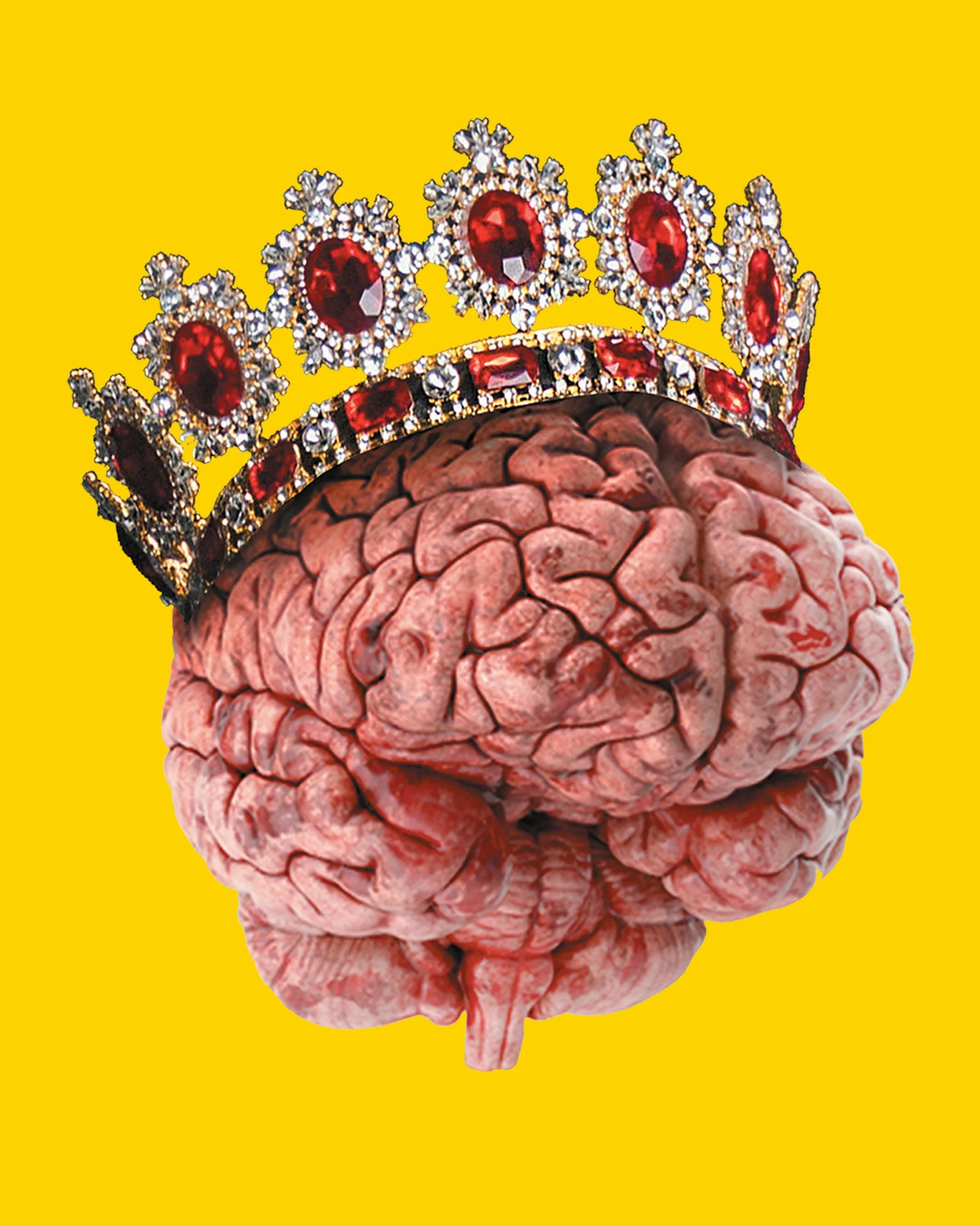 Pink brain wearing a crown of rubies
