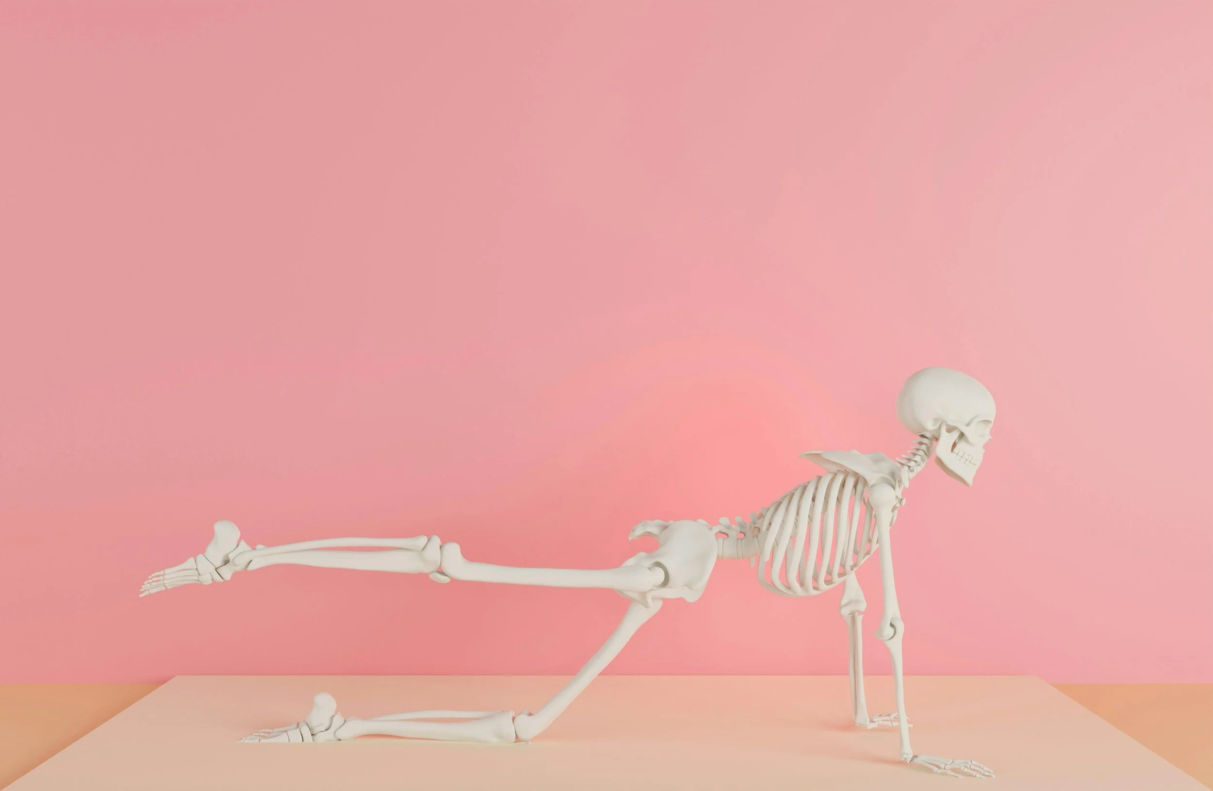 Model skeleton doing stretches with a pink background