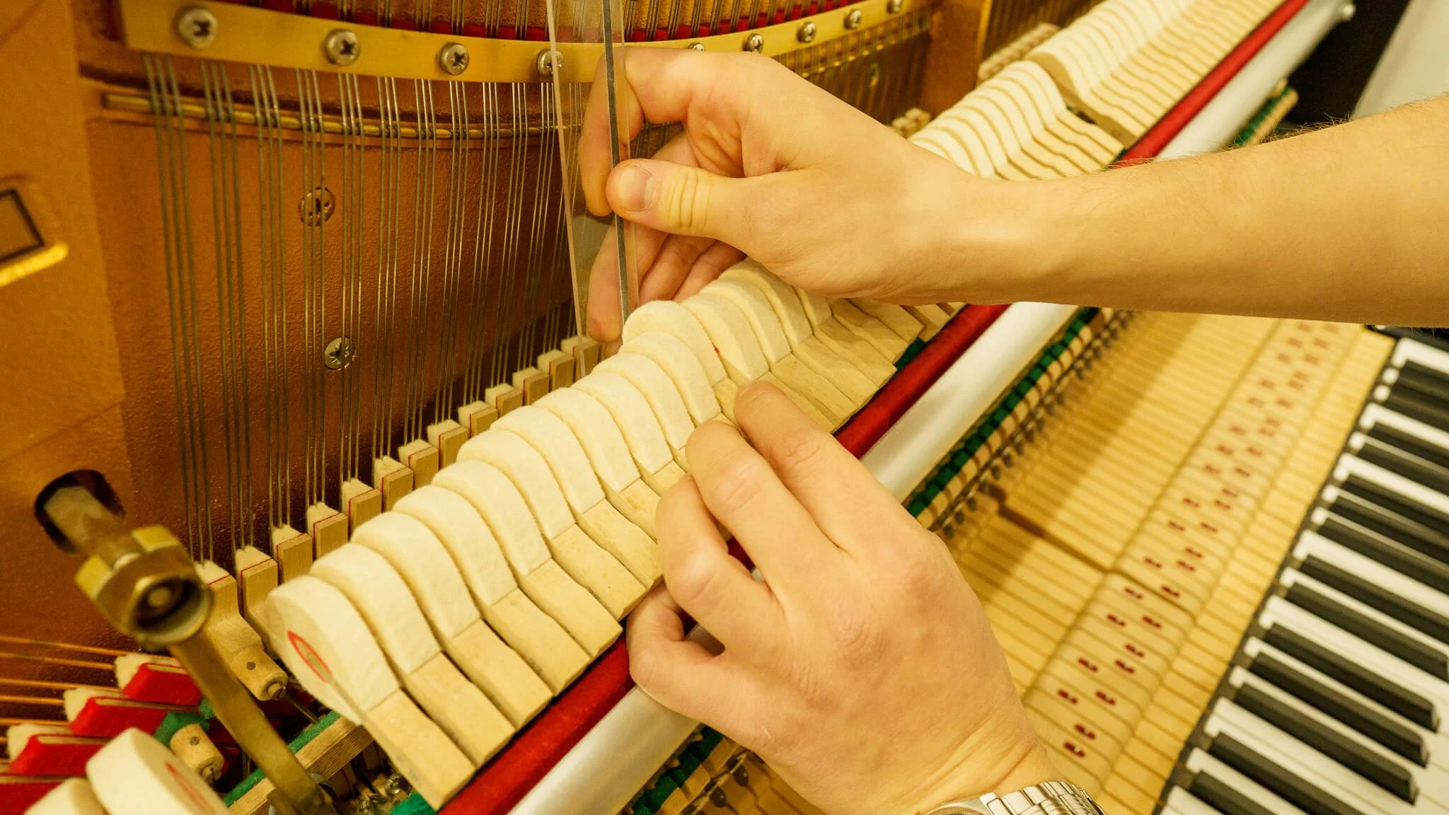 Kit Accordage Piano Sopito Professionnel - Clé à Marteau, Sourdines, Bande Tempérament | Pour Débutants Et Pros