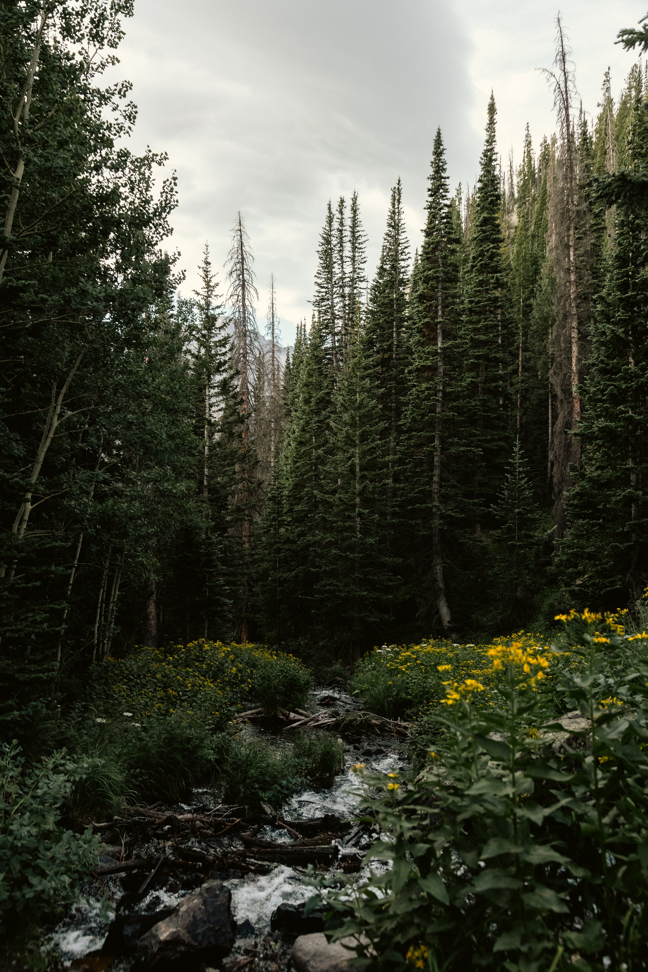 080724_rmnp-6696.jpg