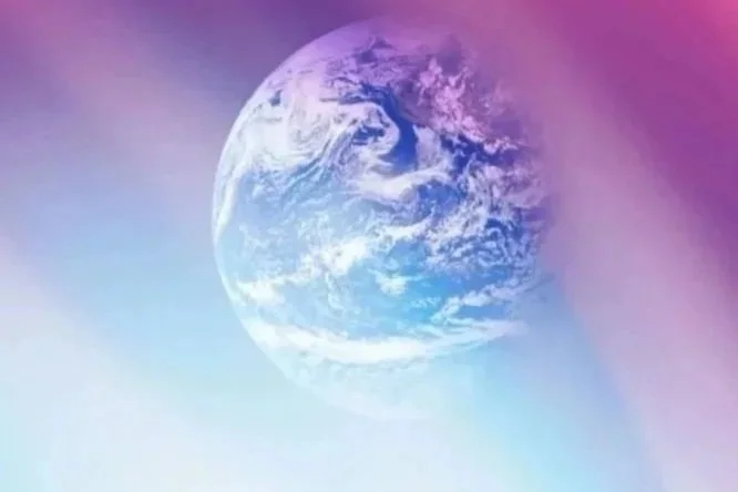 Co-Creating Multispecies Worlds
