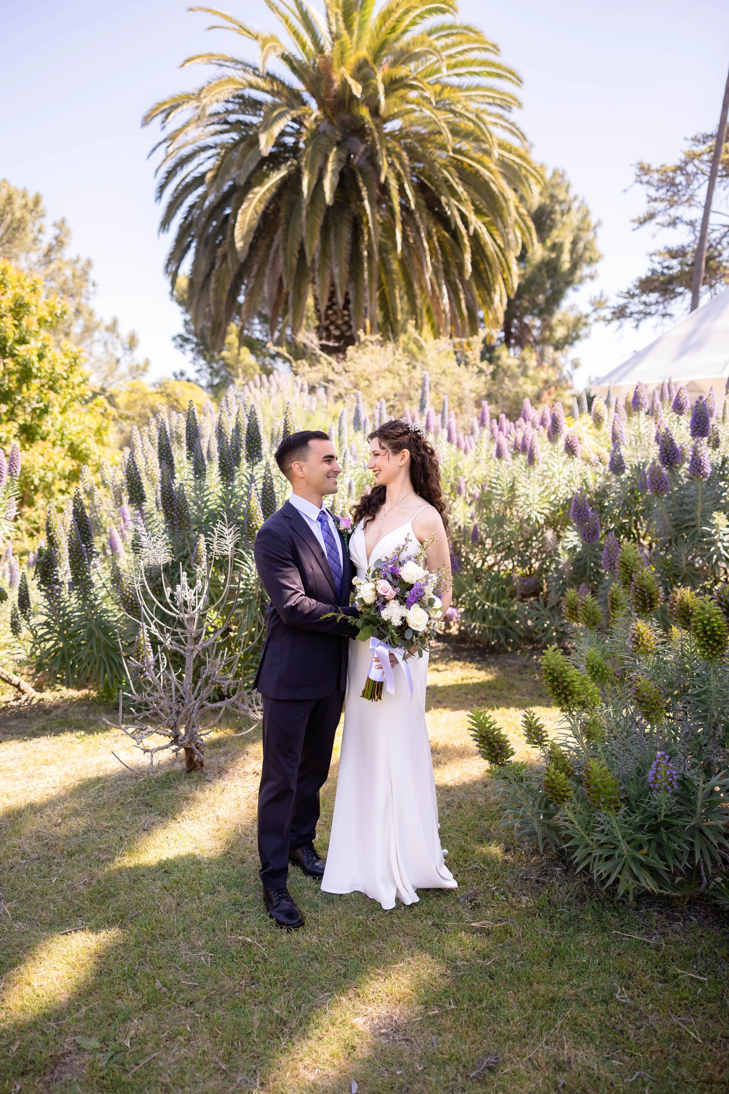 Jess and Malek's Wedding
