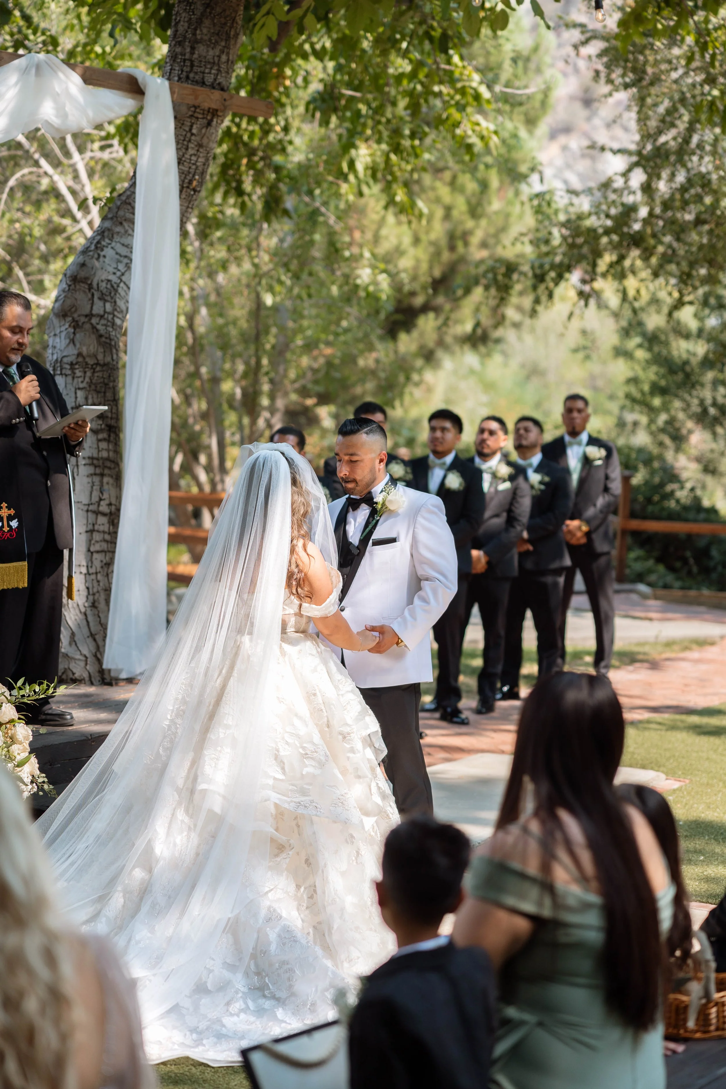 262A9388.jpg