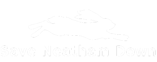 Save Neatham Down