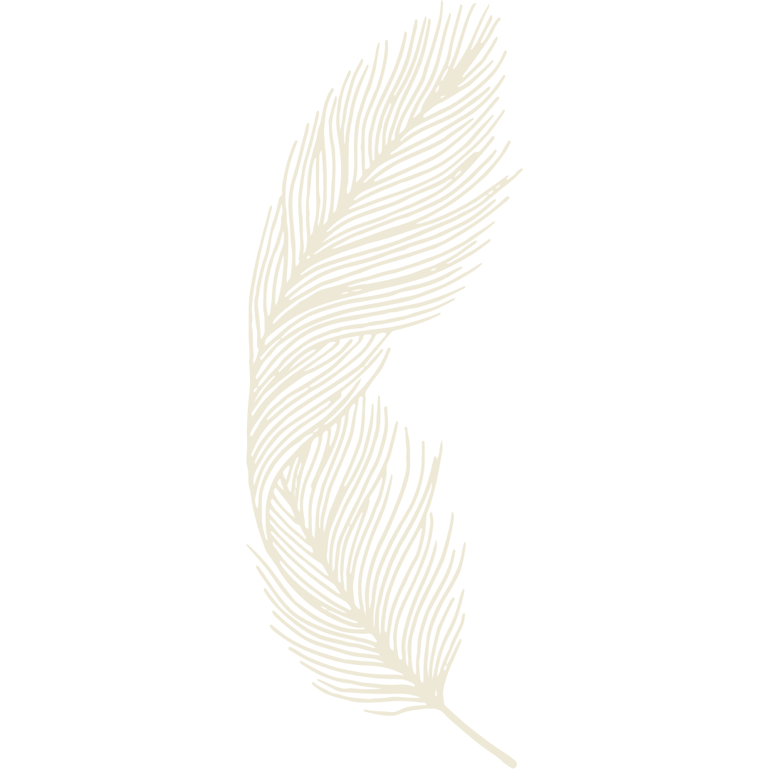 feather_02.png