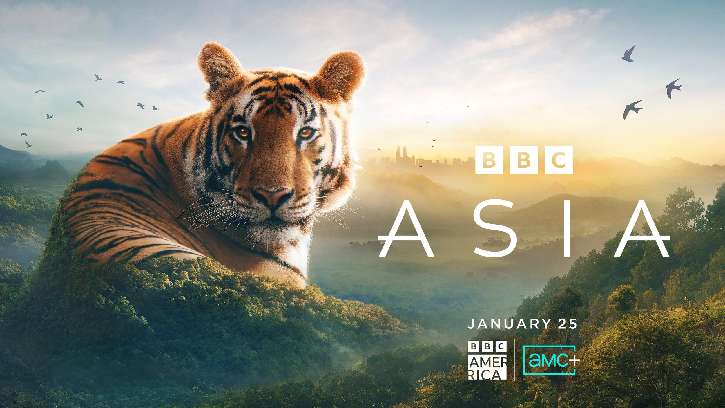 BBC Asia | Additional Music