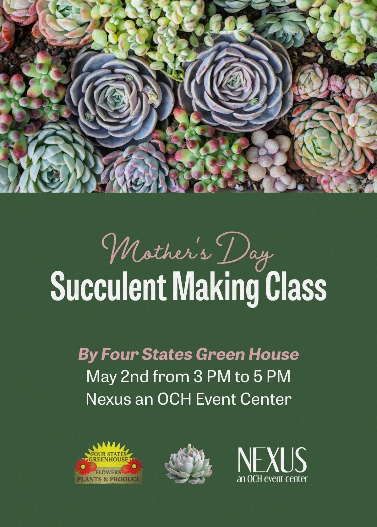 Succulent Making Class