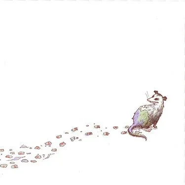 WACK - LATERAL ADDERALL