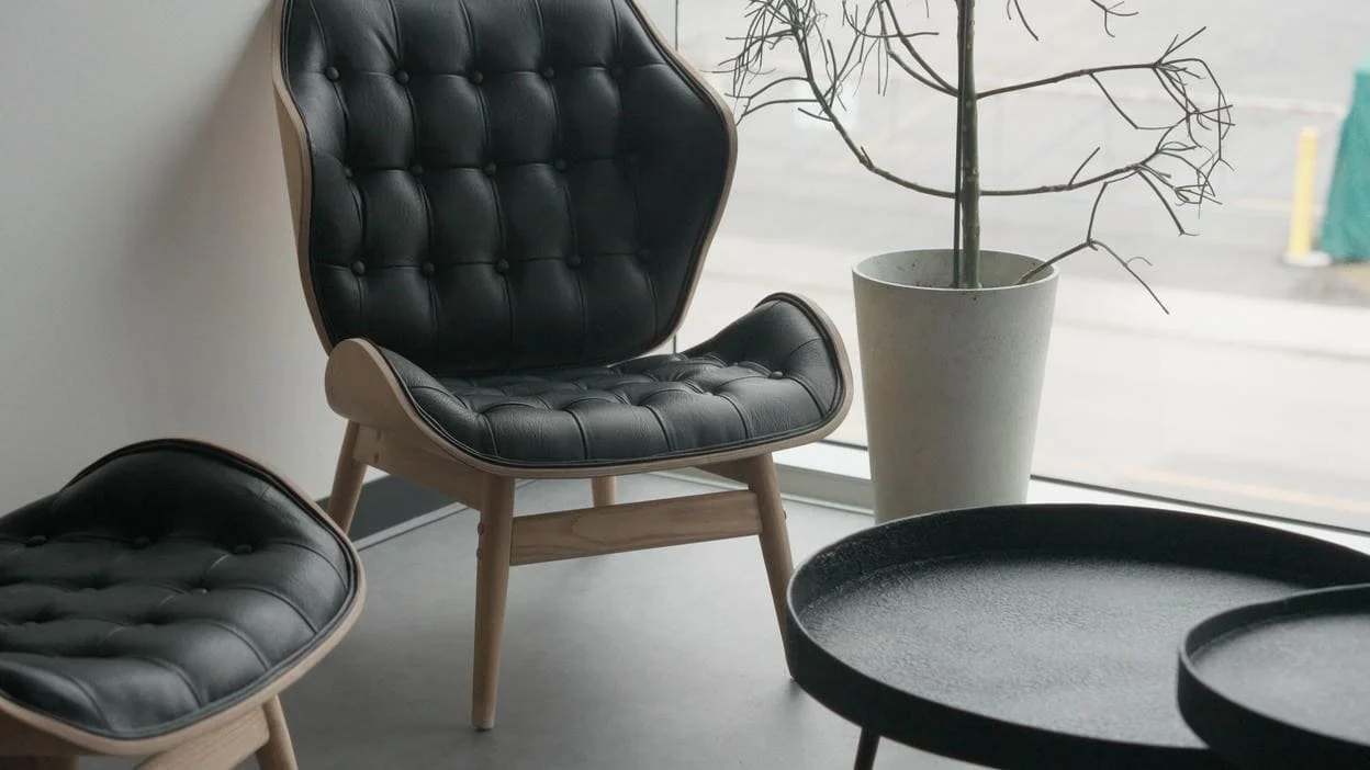 elegant office couch