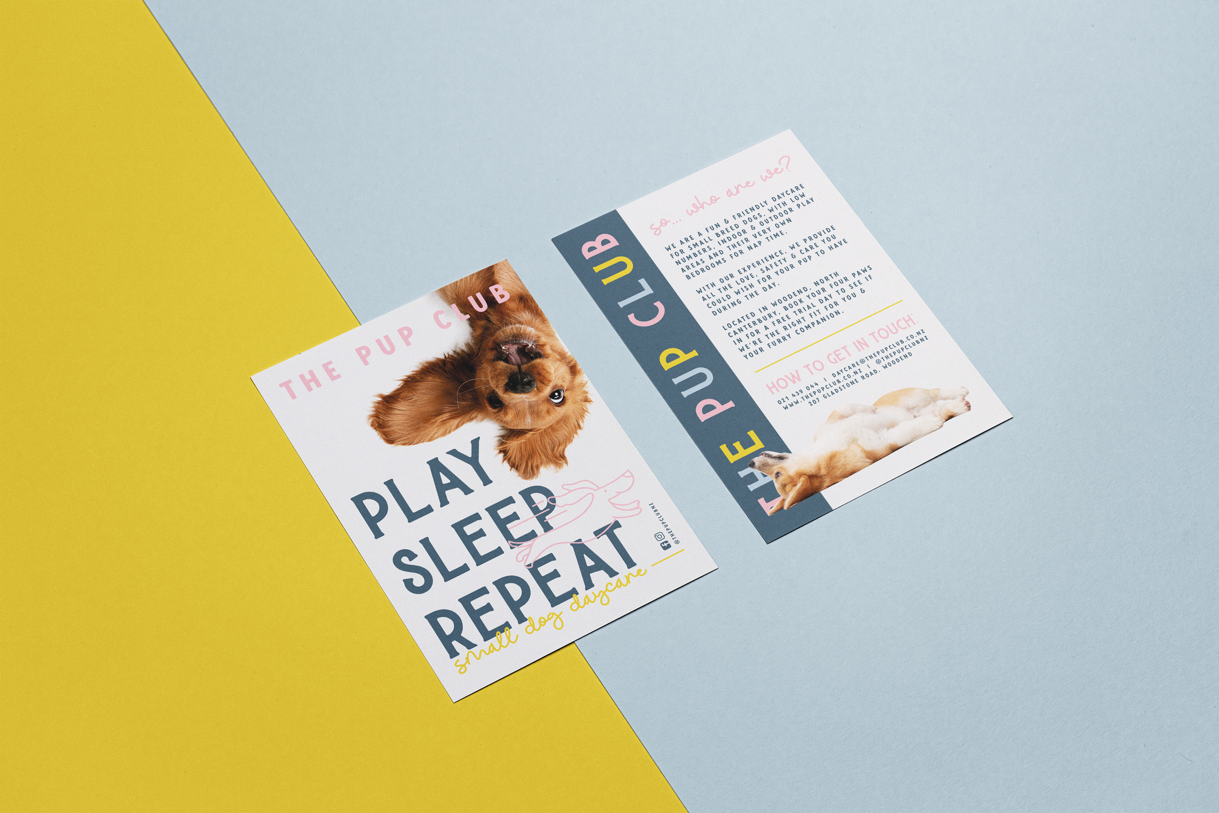 THE PUP CLUB FLYER MOCKUP.png