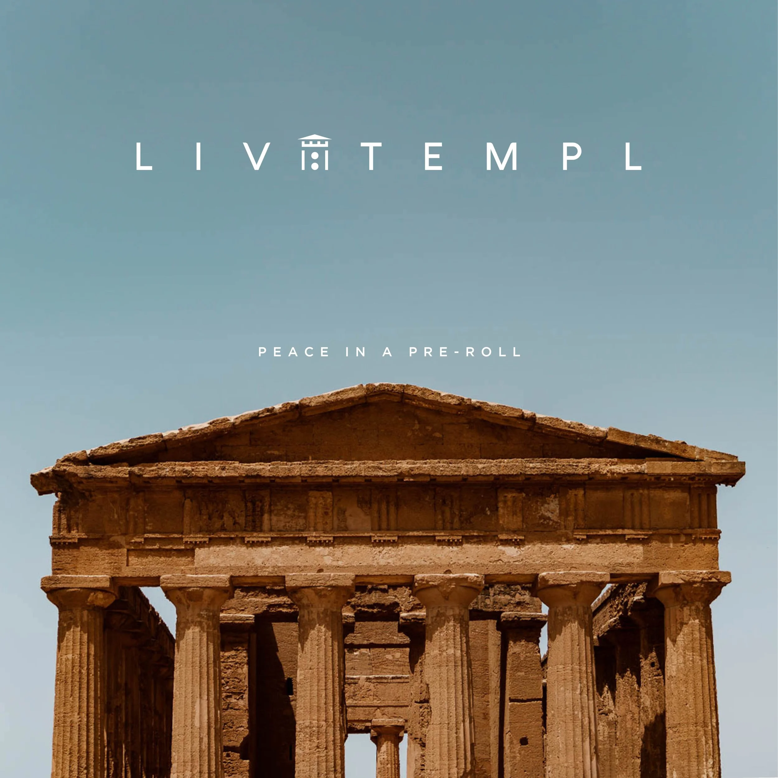 Portfolio Covers-05.jpg