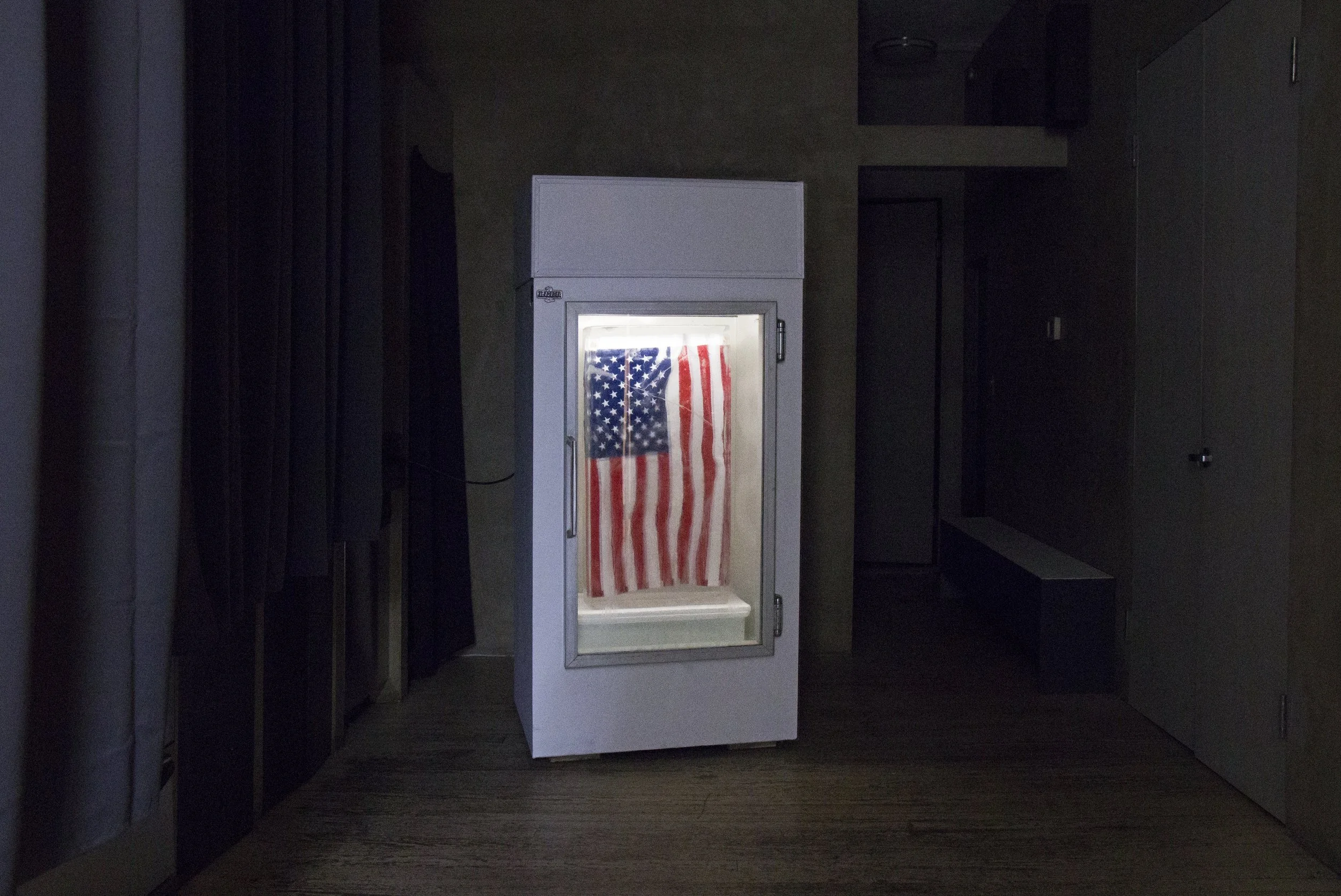 WHITE COLUMNS IN NEW YORK: KAMARI CARTER, PRECOG, AND SYSTEMS OF SOUND AND VISIBILITY IN A SHIFTING AMERICA