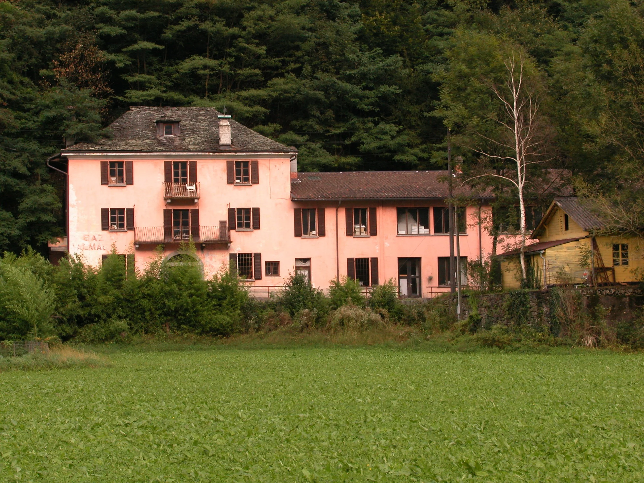 UNA SZEEMANN AND HENRY VINCENT ON HARALD SZEEMANN, MONTE VERITÀ, JASON RHOADES, AND WHY THE ARTIST MUST REMAIN AT THE CENTER