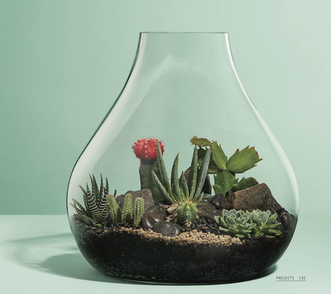 Screenshot 2026-02-03 at 9.05.08 AM.png