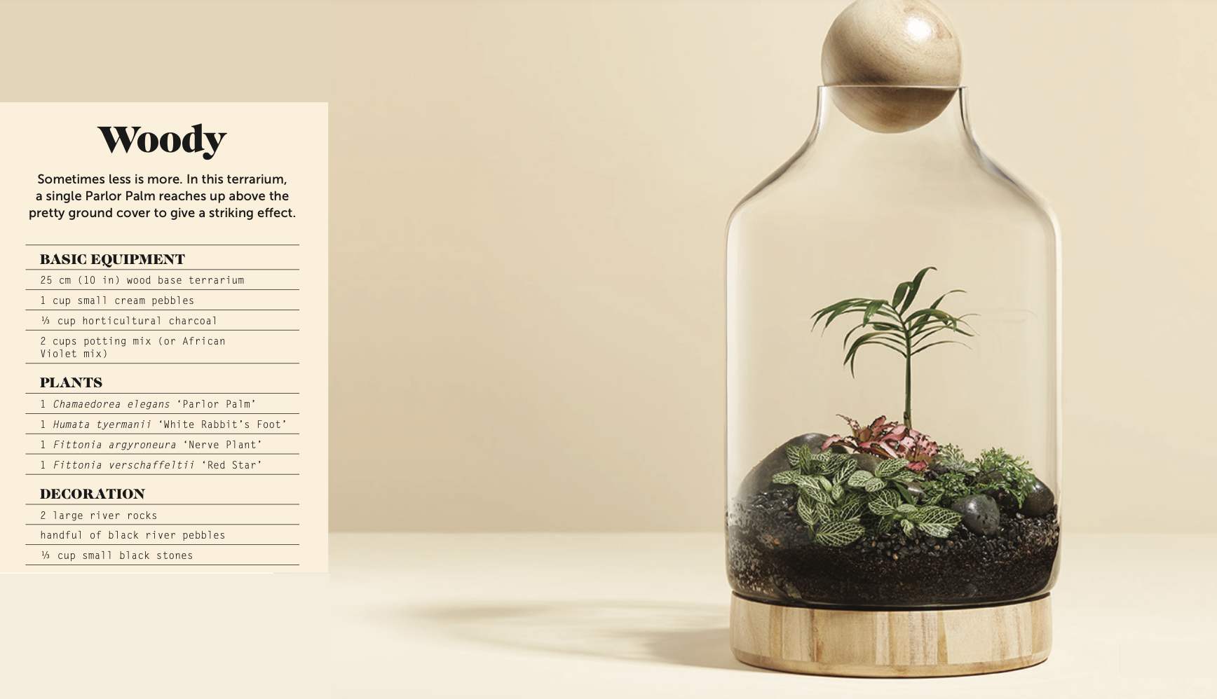 Create your own terrarium - Woody Project FREE