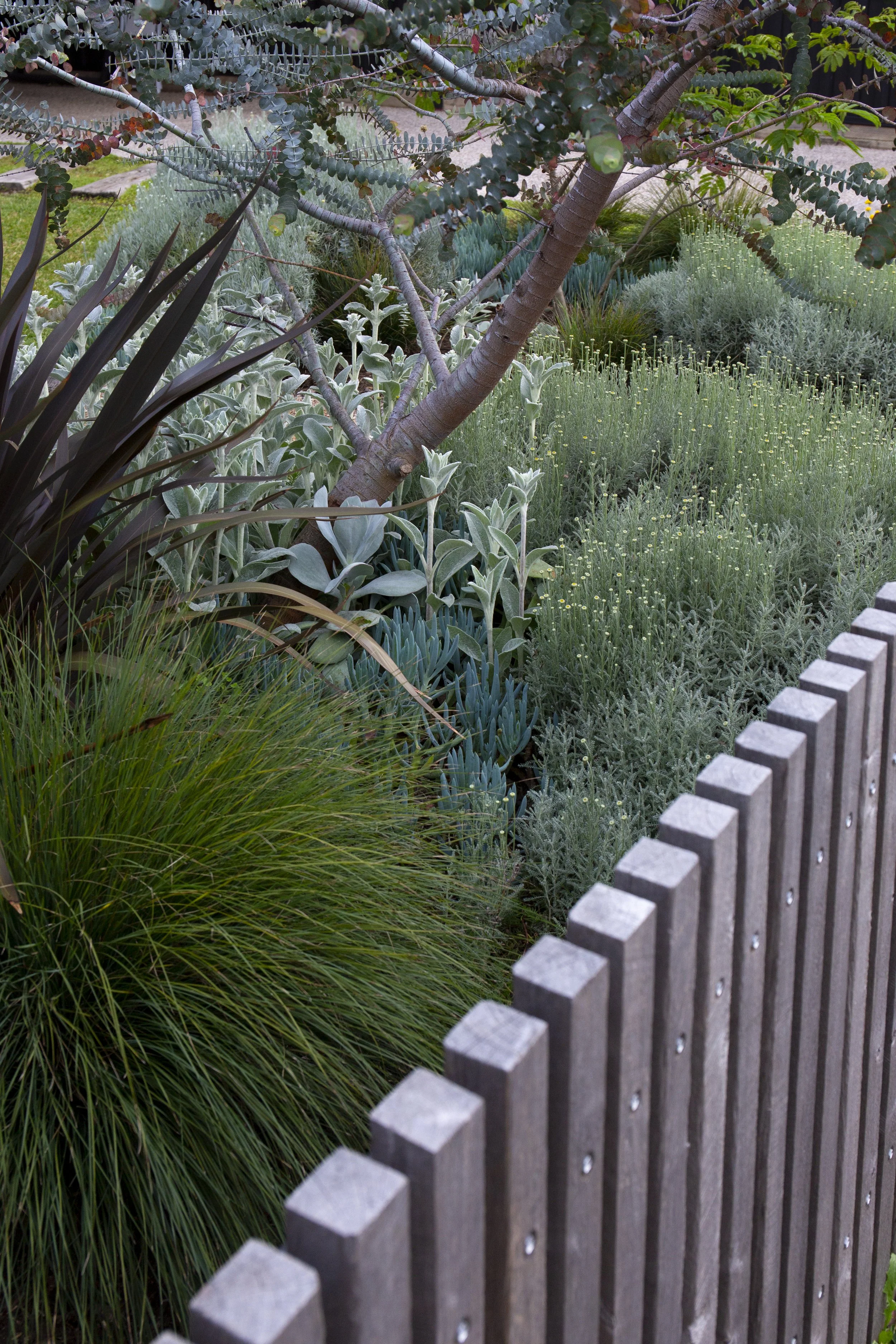 MINSCAPES 🌿 1 hour on-site garden consultation