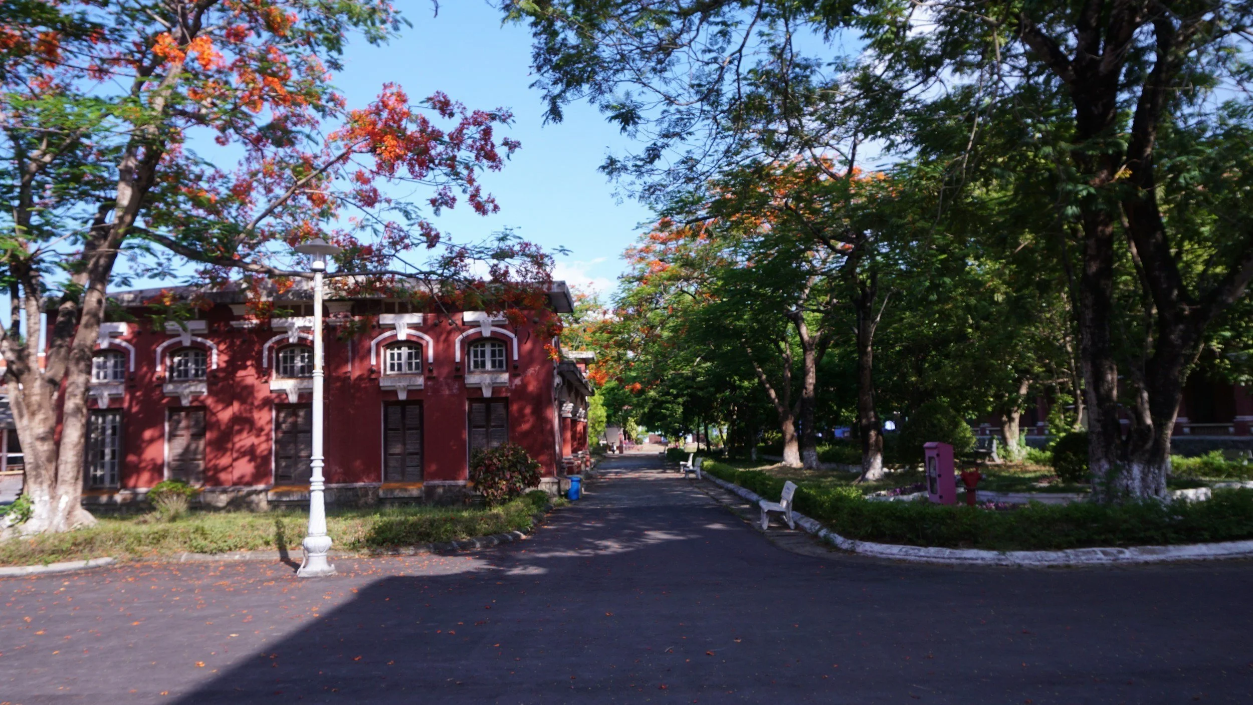 School and wooded campus