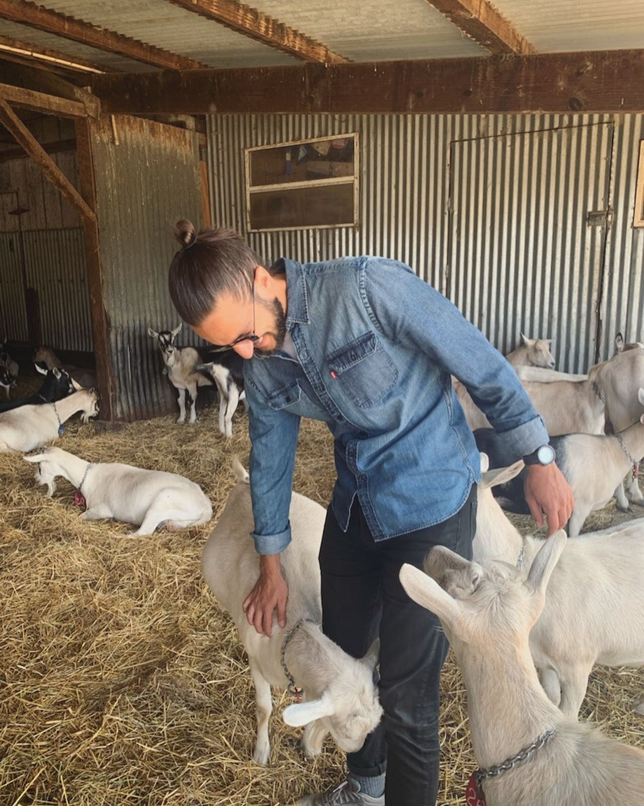 My visit to @harleyfarms was the greatest of all&hellip; the visits. 
.
#GOAT #goats #farmfriends