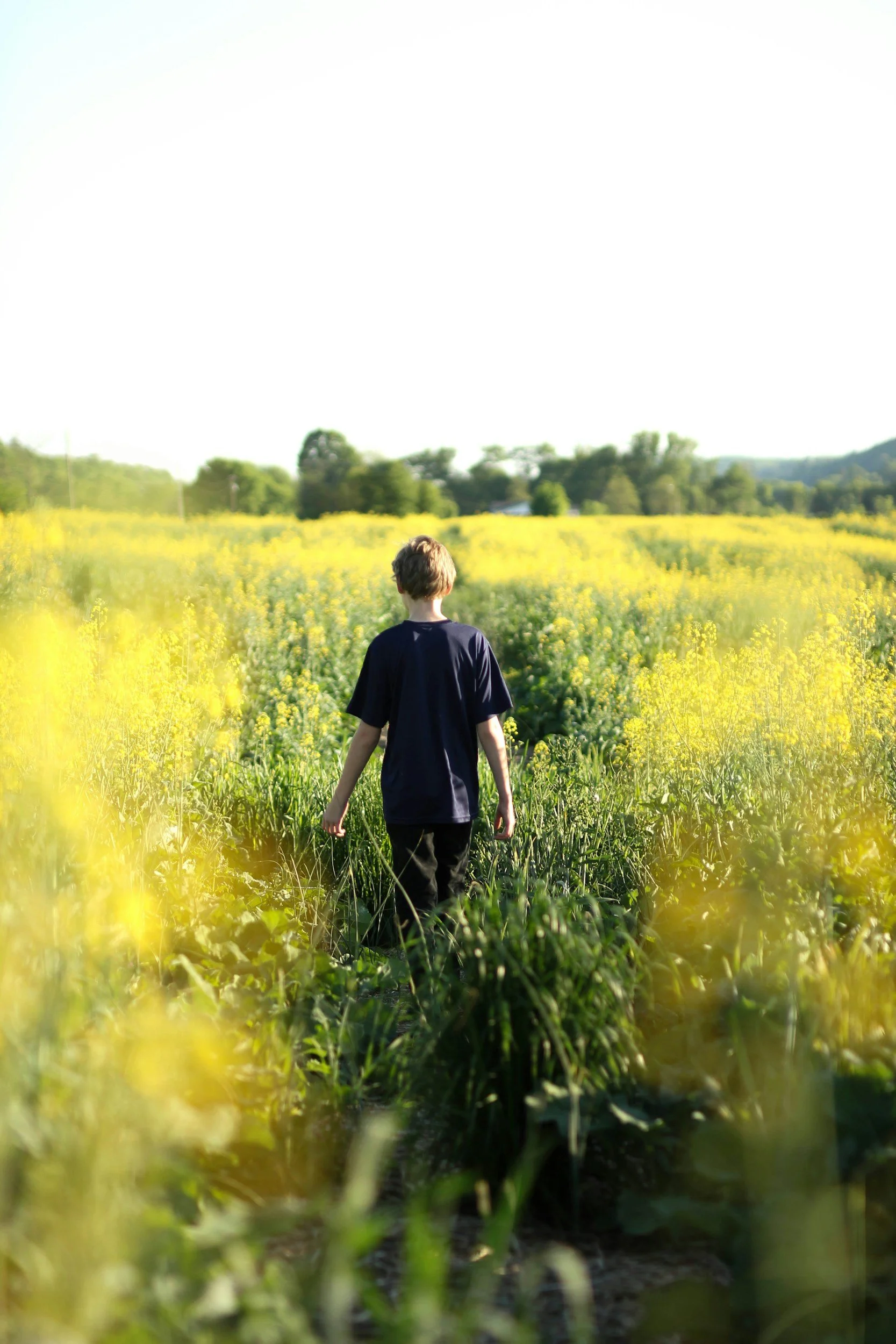 Teens today need our support to navigate their future. The Tapestry is here for our youth and their families.