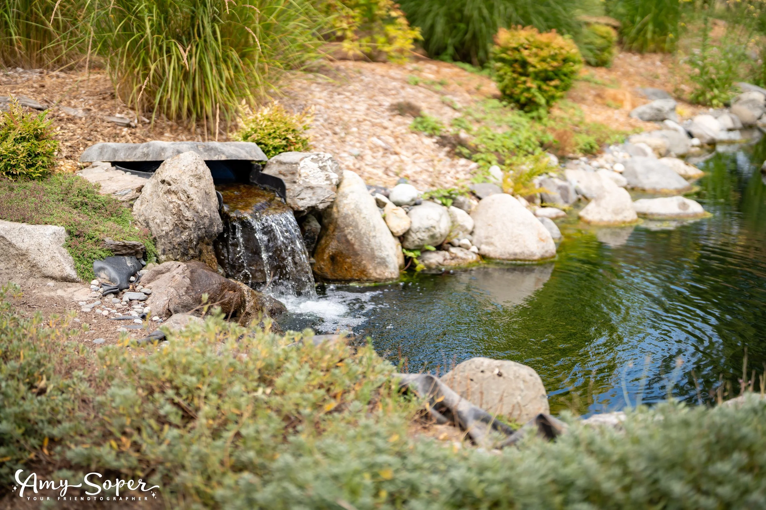 Soper-Photo-Falling-Water-Gardens-Wedding-Monroe_003.jpg