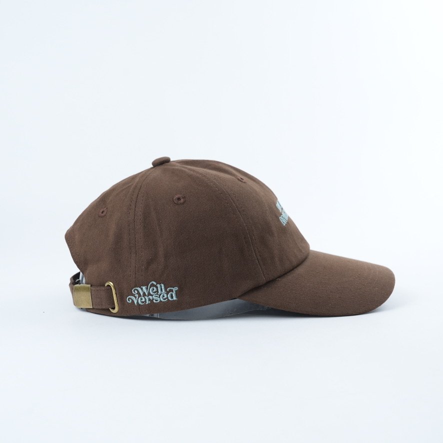 Brown embroidered bookish dad hat featuring the phrase “Should Have Brought My Book” in white lettering, curved brim and adjustable fit for readers and book lovers.