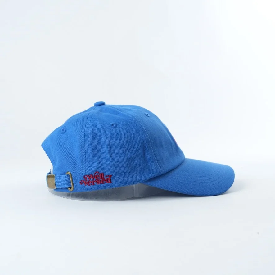 Light blue baseball cap embroidered with the phrase “Hot Girls Read Romance” in red script lettering.