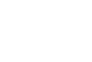 logo_thin.webp