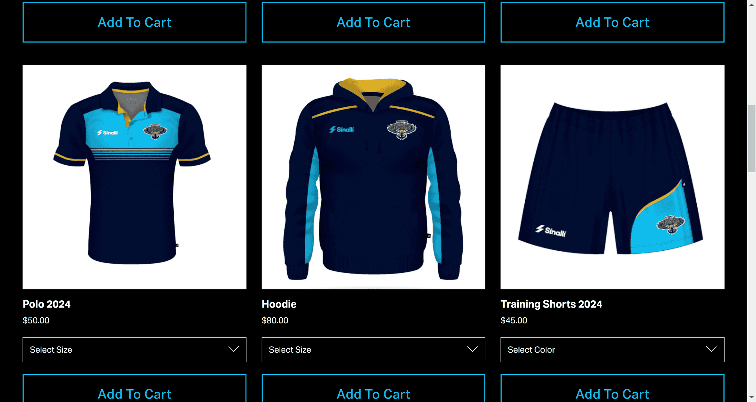 Not for profit Rugby League in Newcastle NSW website by NadiaDesigns.png