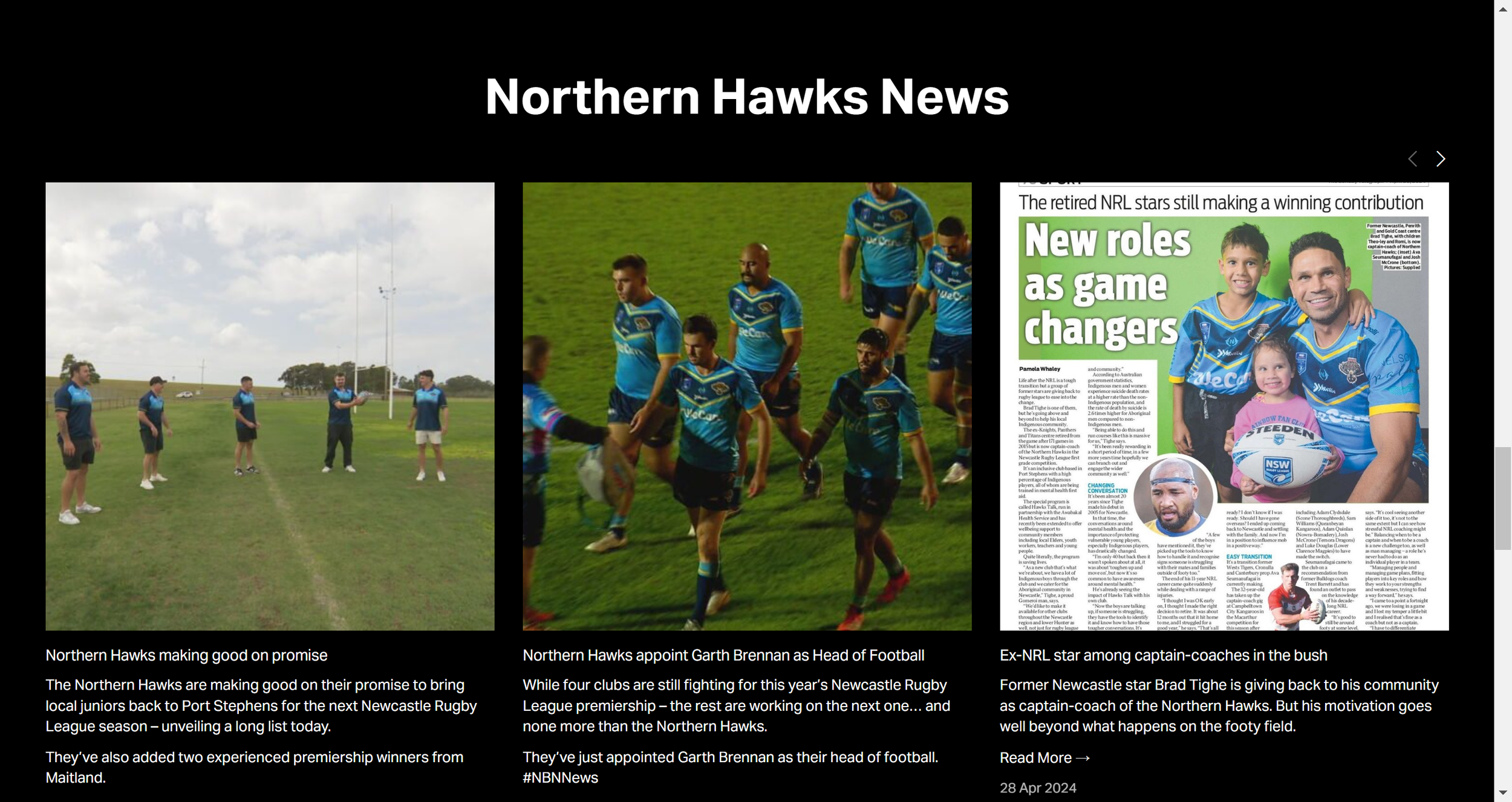 Northern Hawks News Blog website by NadiaDesign web design in Heidelberg