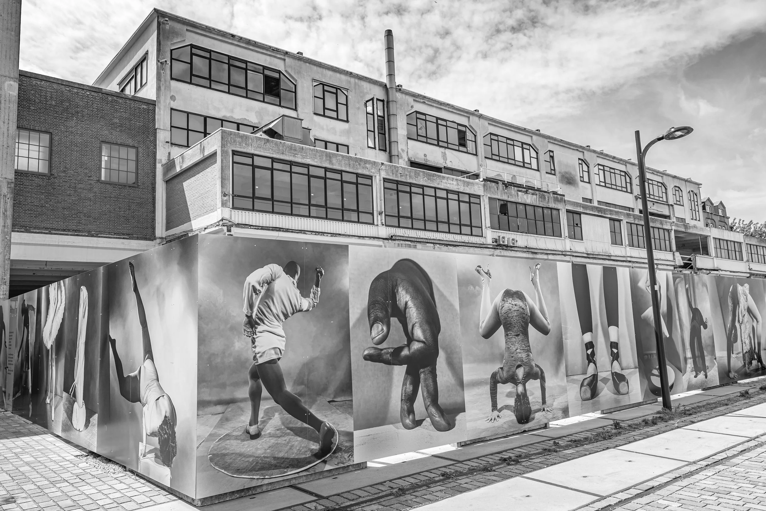 _62_2129 BW.jpg