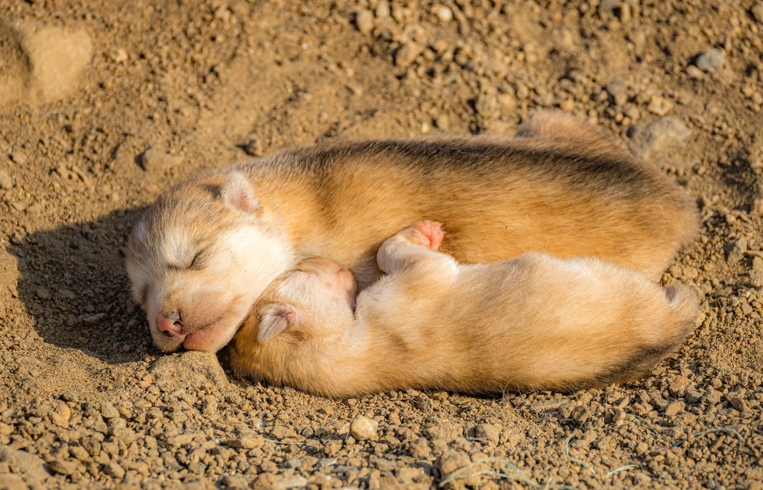 _62_5566-Bearbeitet.jpg
