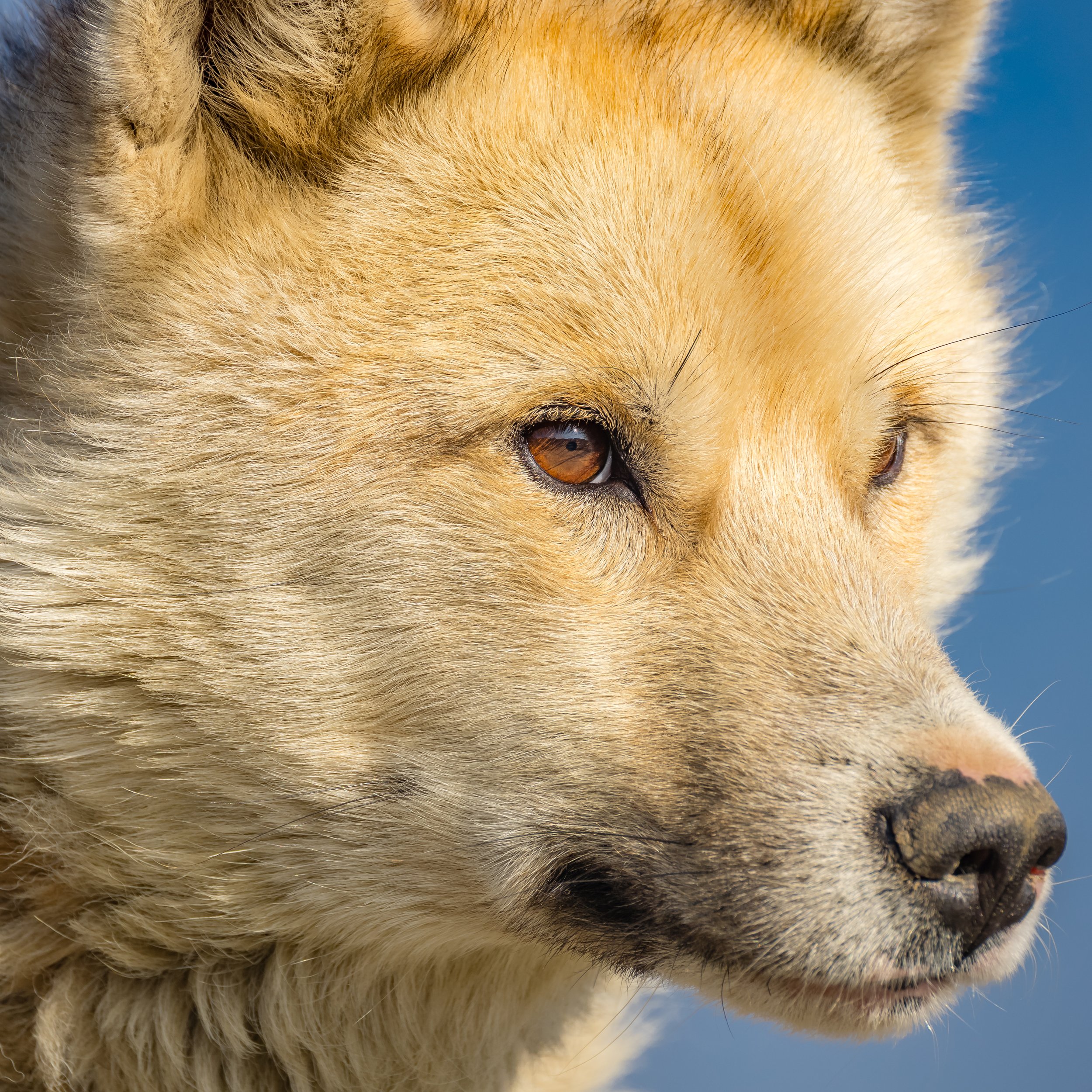 _62_5553-Bearbeitet.jpg