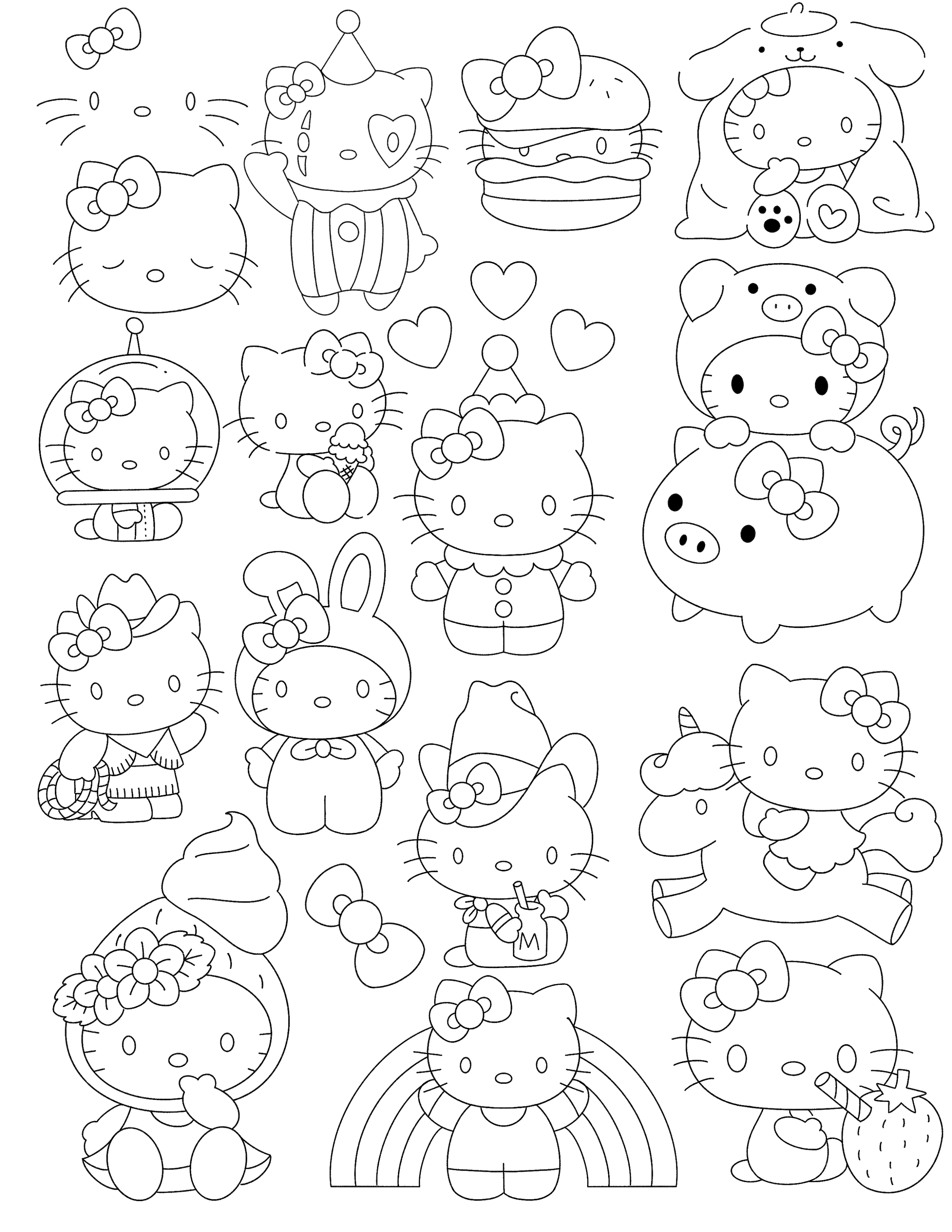 IMG_3234.png