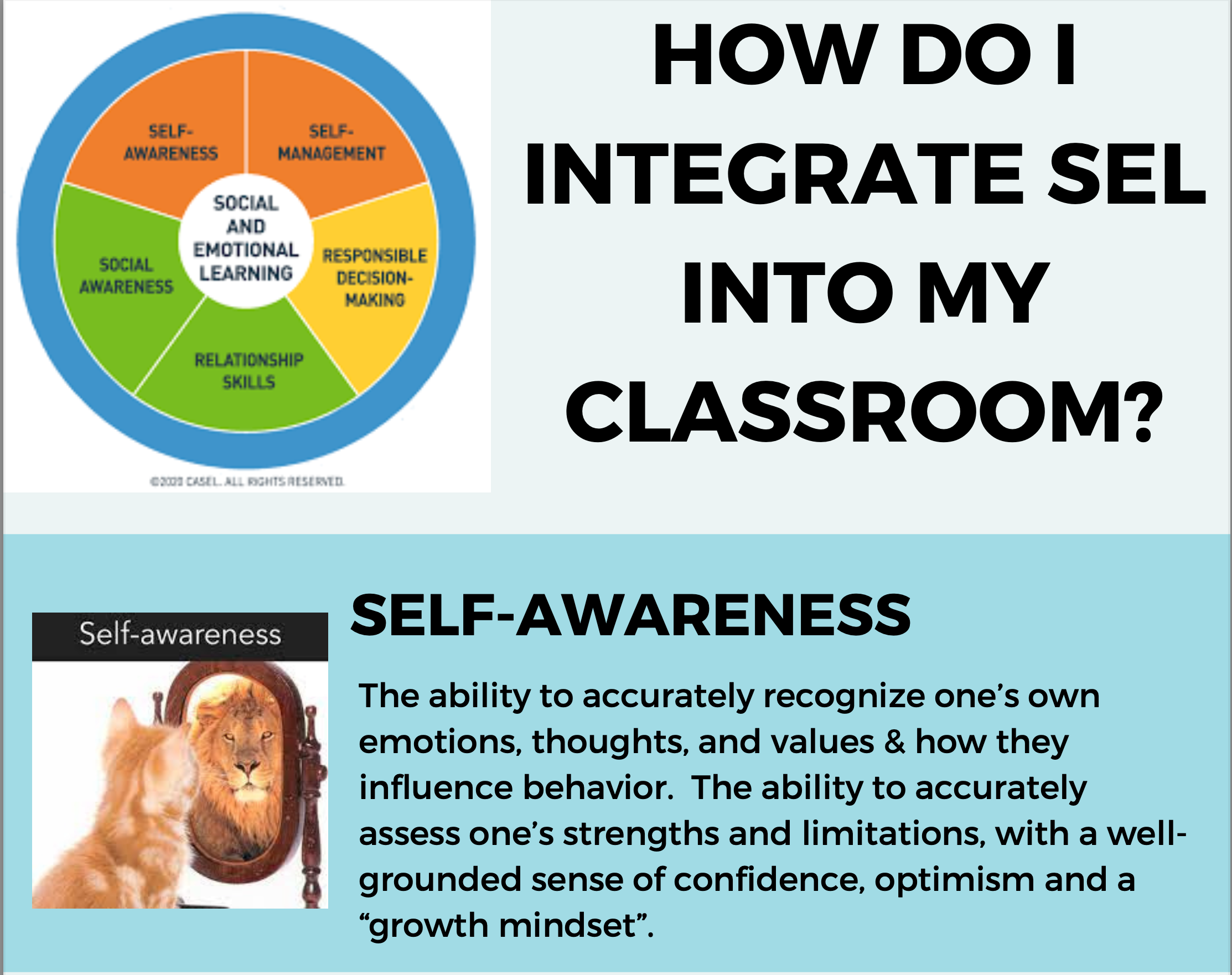 SEL Competencies in the Classroom
