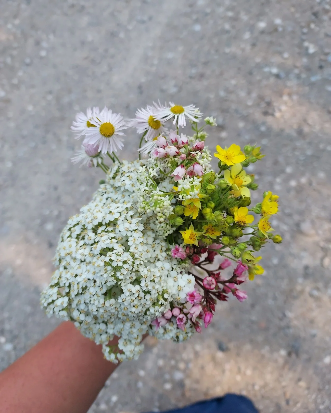 Hayfever season is well and truly in full swing💐
Already suffering from sneezing, itchy eyes, and a runny or blocked nose?

There&rsquo;s plenty you can do now to reduce your symptoms before they take over. As a naturopath, I often see the internal 