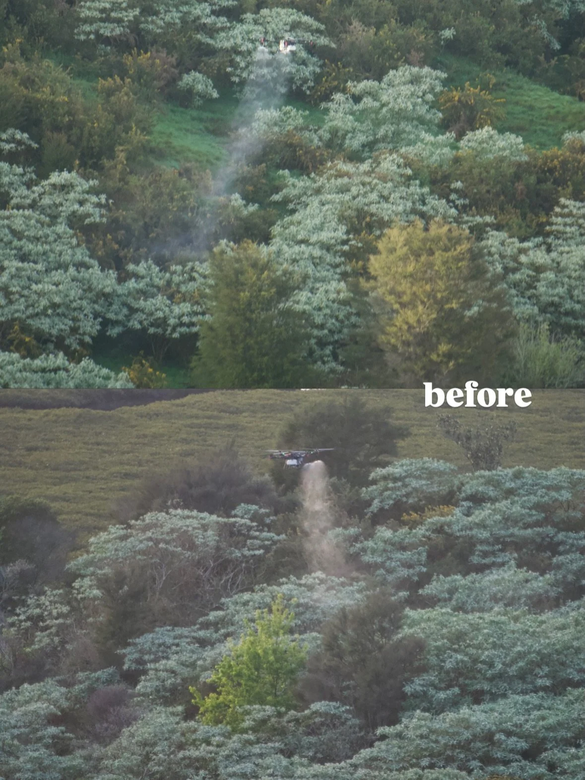 Before ➝ After
Real results.