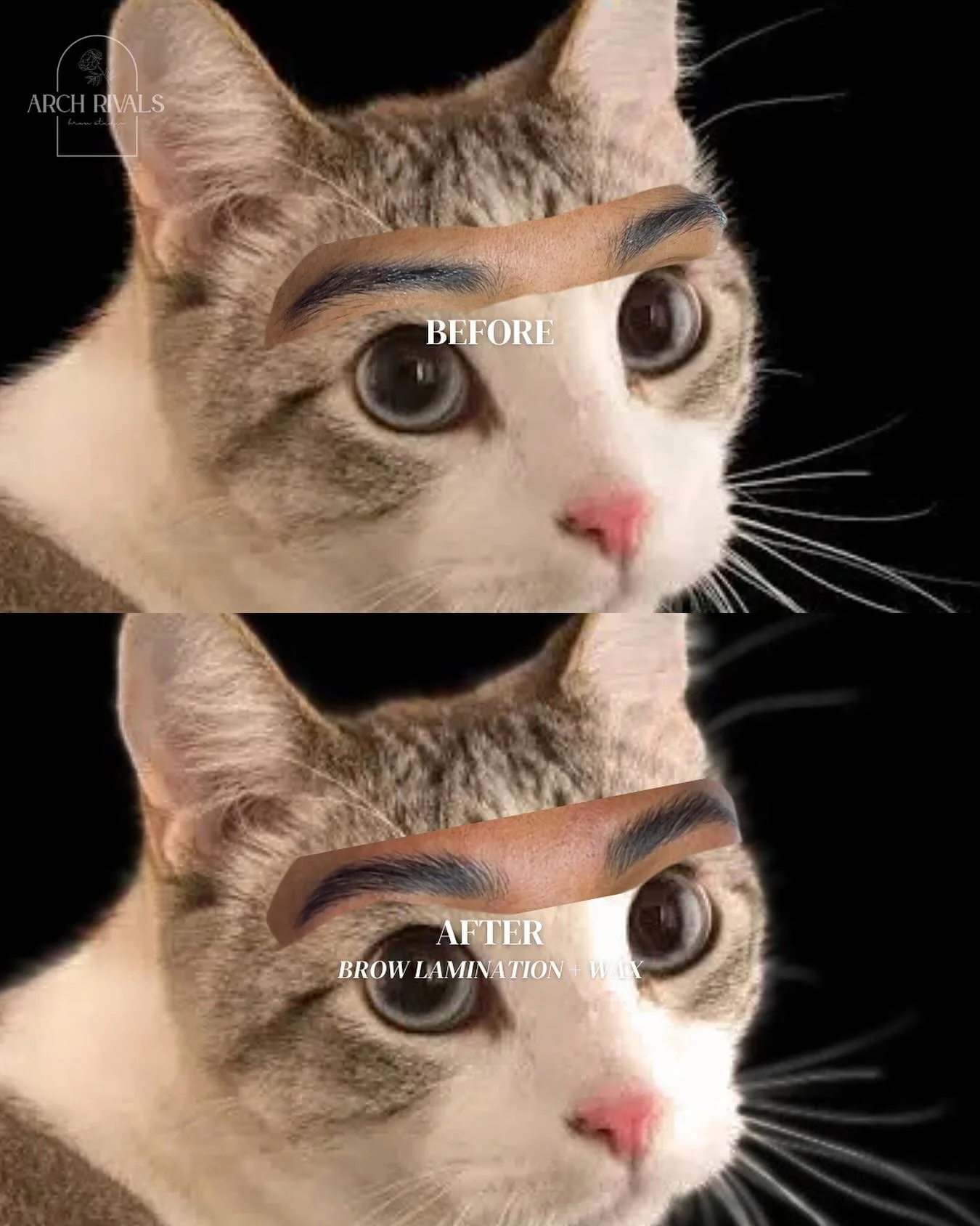 when your client won&rsquo;t let you share their full face but you still wanna share your work 🤣🤣 (don&rsquo;t worry she gave me permission to share the cat version of her 🤣)

link in profile to book &lt;3 

ARCH RIVALS BROW STUDIO
@archrivalsbrow