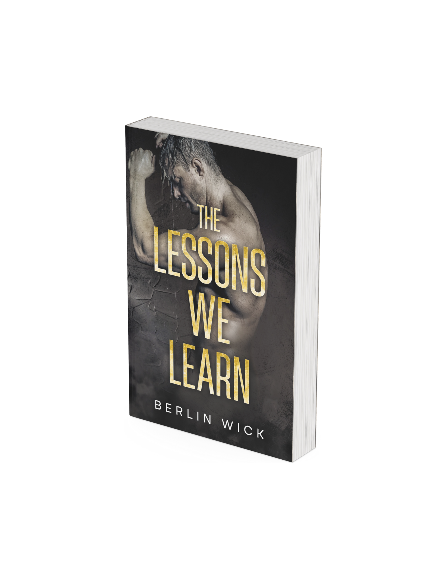 The Lessons We Learn (original cover) — berlinwick
