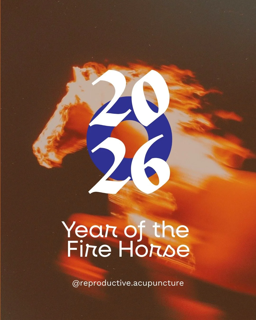 We are in the final week of the shedding of the Snake, with the Chinese New Year beginning on the 17th of February.

While the Year of the Snake symbolised yin energy, shedding and letting go, the Year of the Fire Horse carries strong, outward-moving