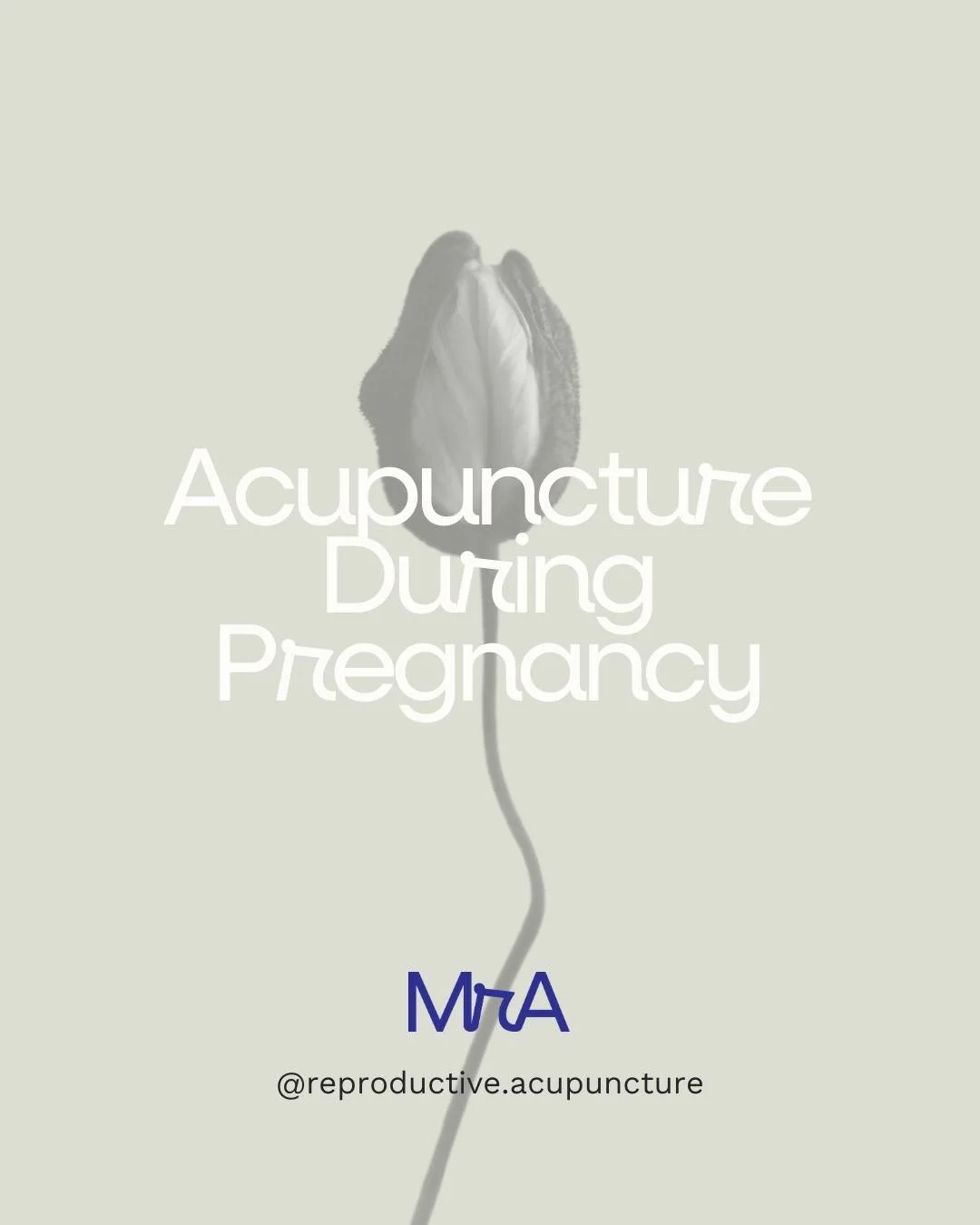 Pregnancy brings profound change, physically, emotionally and hormonally.

Acupuncture during pregnancy is safe when provided by qualified practitioners and is tailored to each trimester, supporting you alongside your GP, obstetrician or midwifery ca