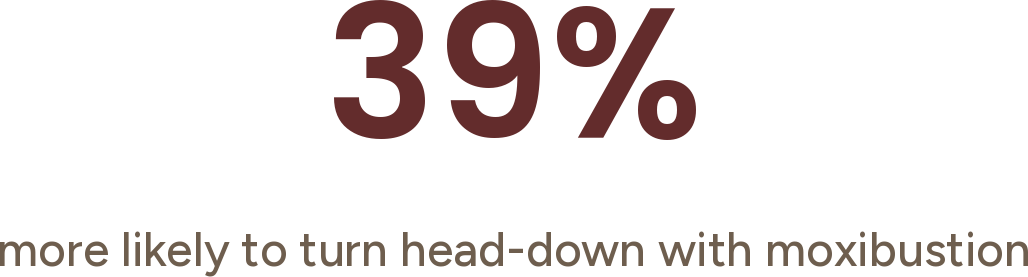 Text graphic showing 39% more likely to turn head-down with moxibustion.