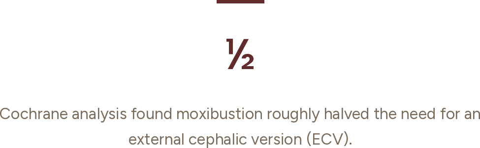 Text indicating that Cochrane analysis found moxibustion with roughly halved need for external cephalic version.
