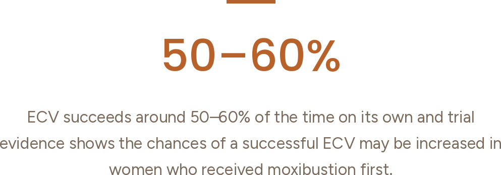Text on a black background stating "50-60%" in large orange font, followed by smaller text: "ECV succeeds around 50-60% of the time on its own and trial evidence shows the chances of a successful ECV may be increased in women who received moxibustion first."