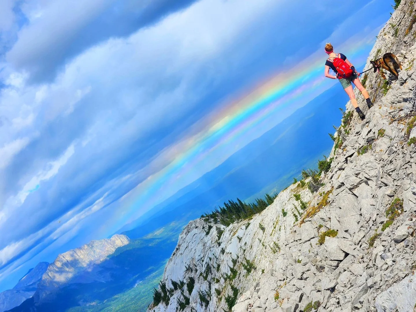 I often forget how much pain inhibits strength. Last Sunday, we did Midnight Peak. Thanks to a cold I caught a few weeks ago, plus EDS nonsense (being sick exacerbates my EDS symptoms), it felt stupid hard. 

Wednesday, we did the Heart Mountain Loop
