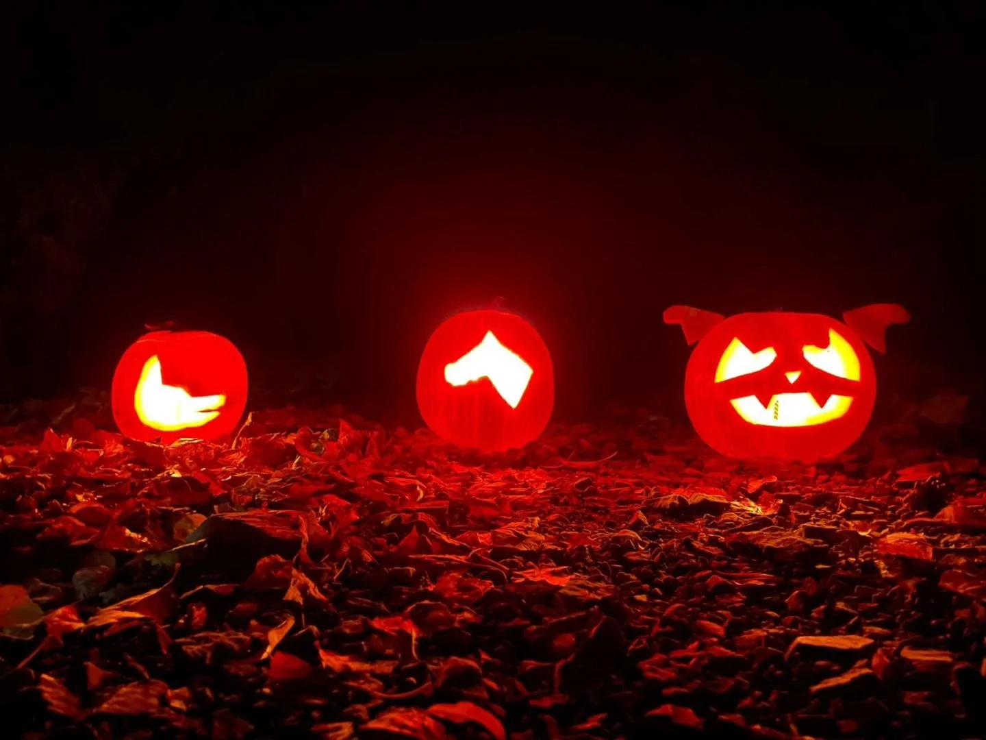 Fifth annual pumpkin hike complete, and the fourth with friends 🧡