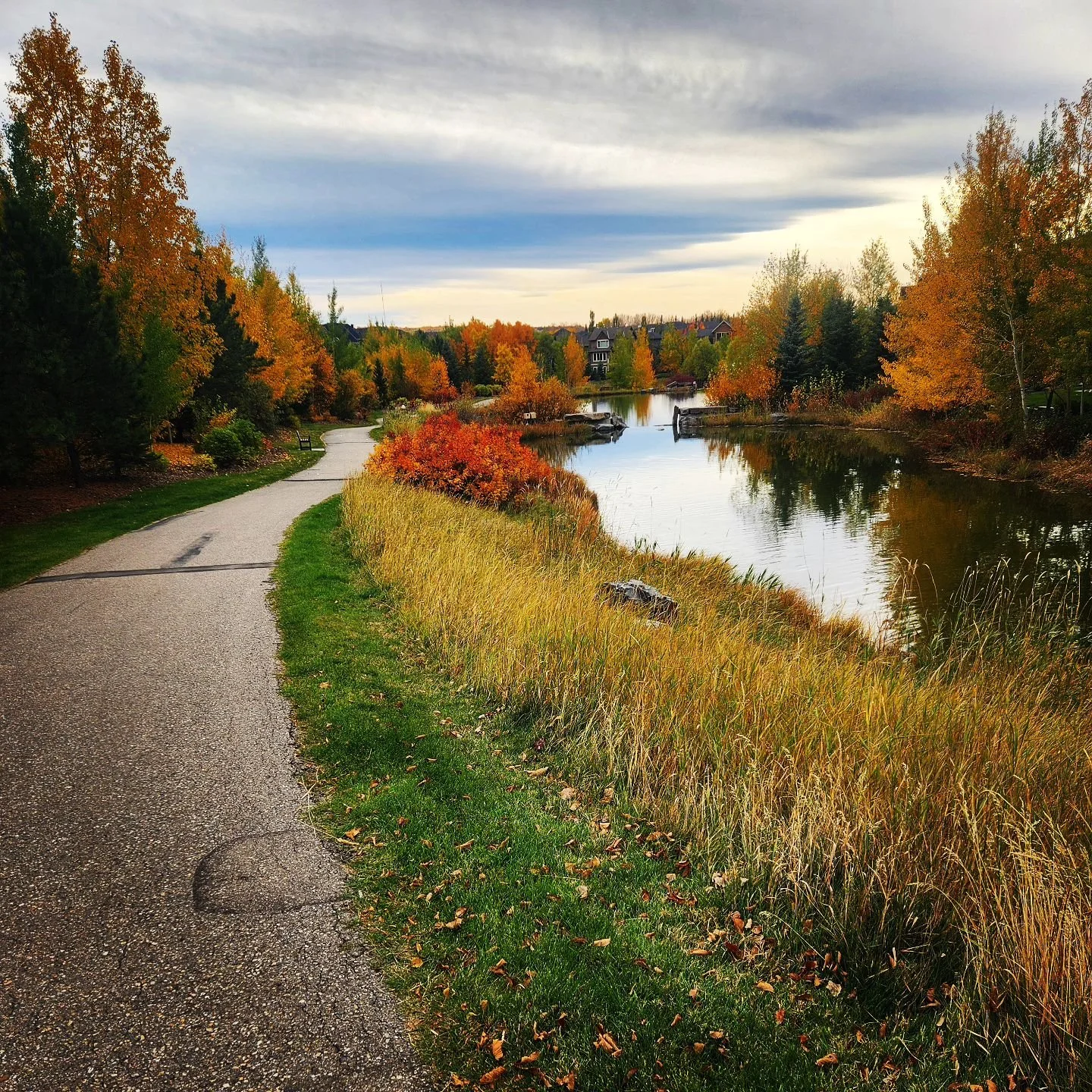 Loving where I live and sad to leave again! I'm off to Vancouver Island soon for 5 weeks of housesitting and hunkering down to focus on my candidacy exam papers. Hopefully my body doesn't self-destruct too much on the drive out there🤞🏻#edslife #gra
