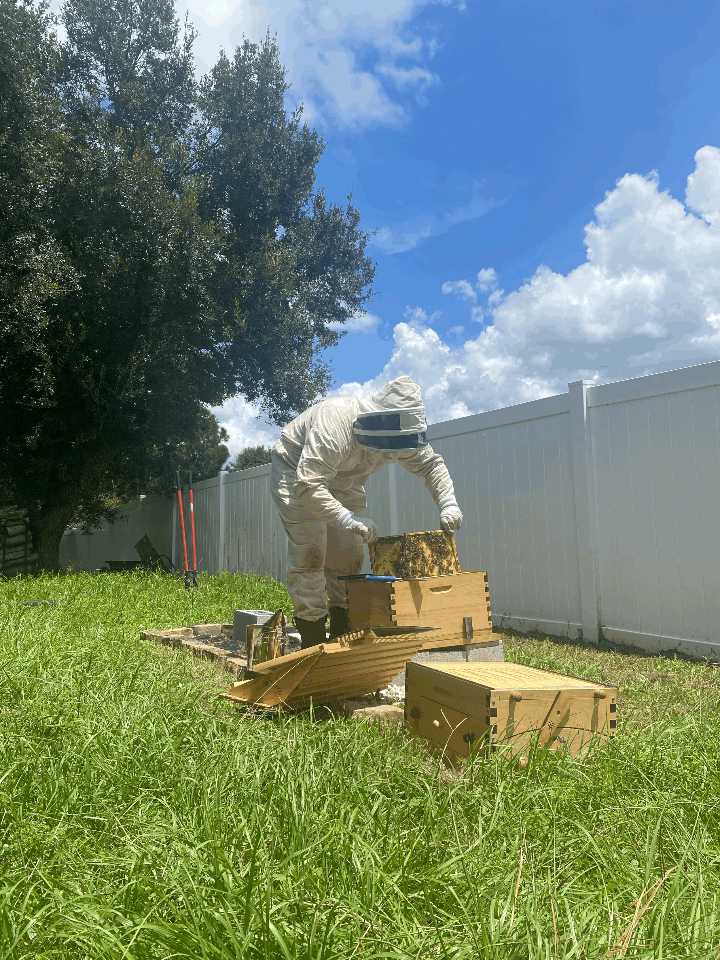 tempImagemN2T3s.gif