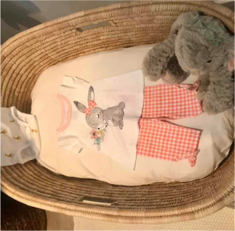 Baby Basket and Mattress