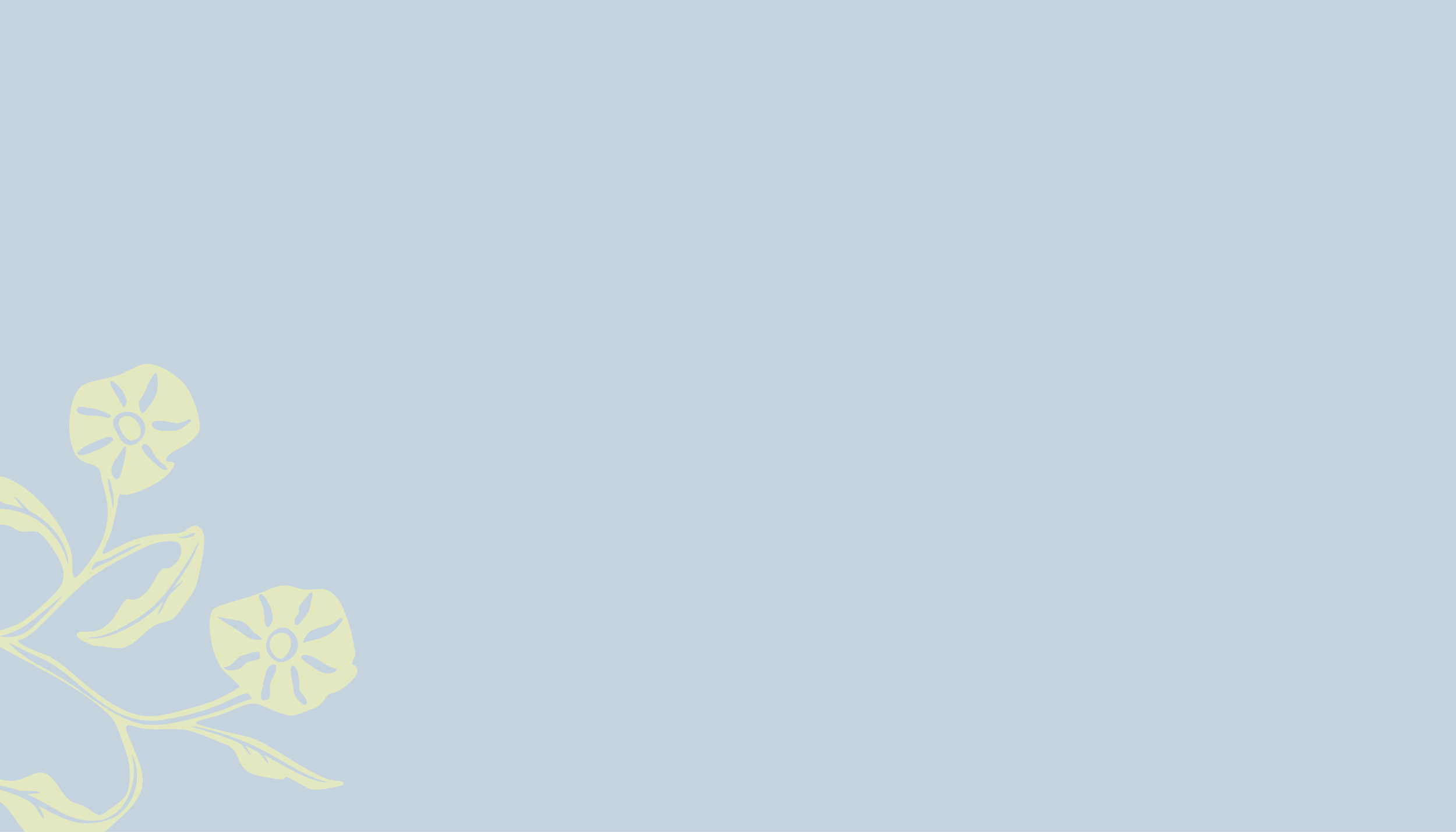 Pale yellow floral illustration with leaves and two flowers along the lower-left corner on a light blue background