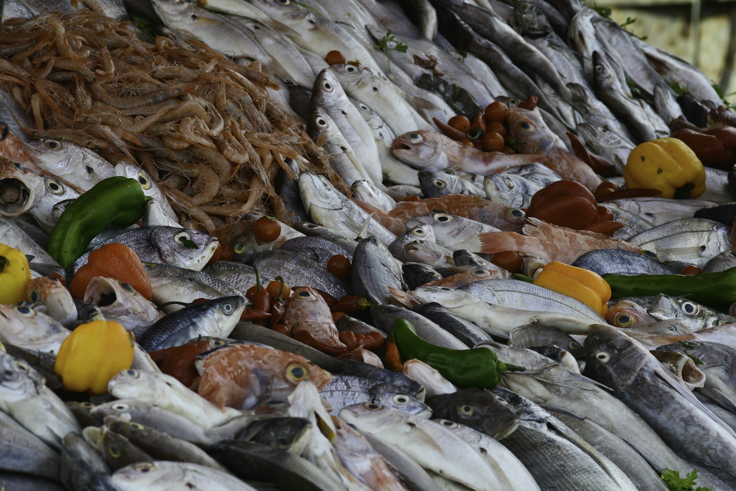 Want Sustainable Seafood? Who Do We Trust To Save Our Oceans?